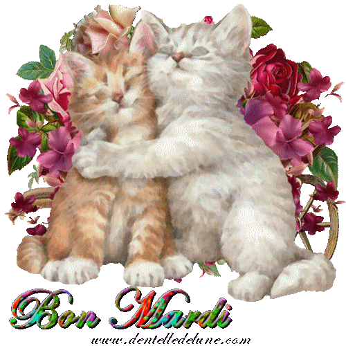 Mardi 14 juin 0bb7ad33