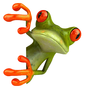 Résultat de recherche d'images pour "gif grenouilles oranges"