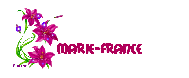 prénom marie france prénom marie france
